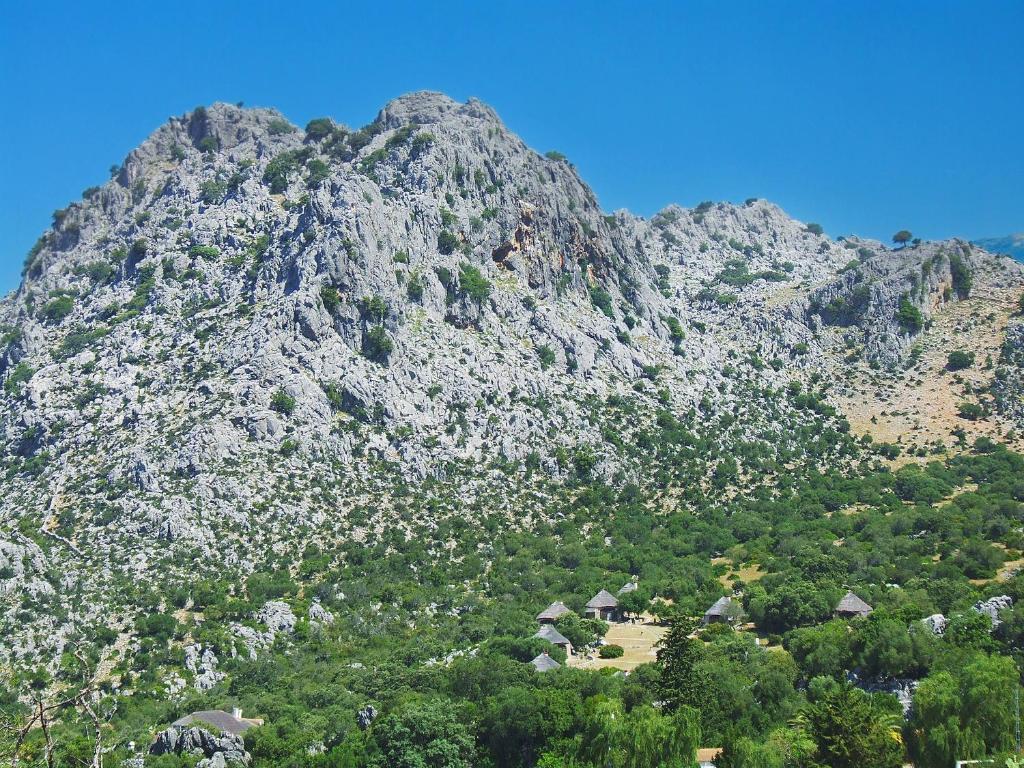 parque natural de la sierra de grazalema