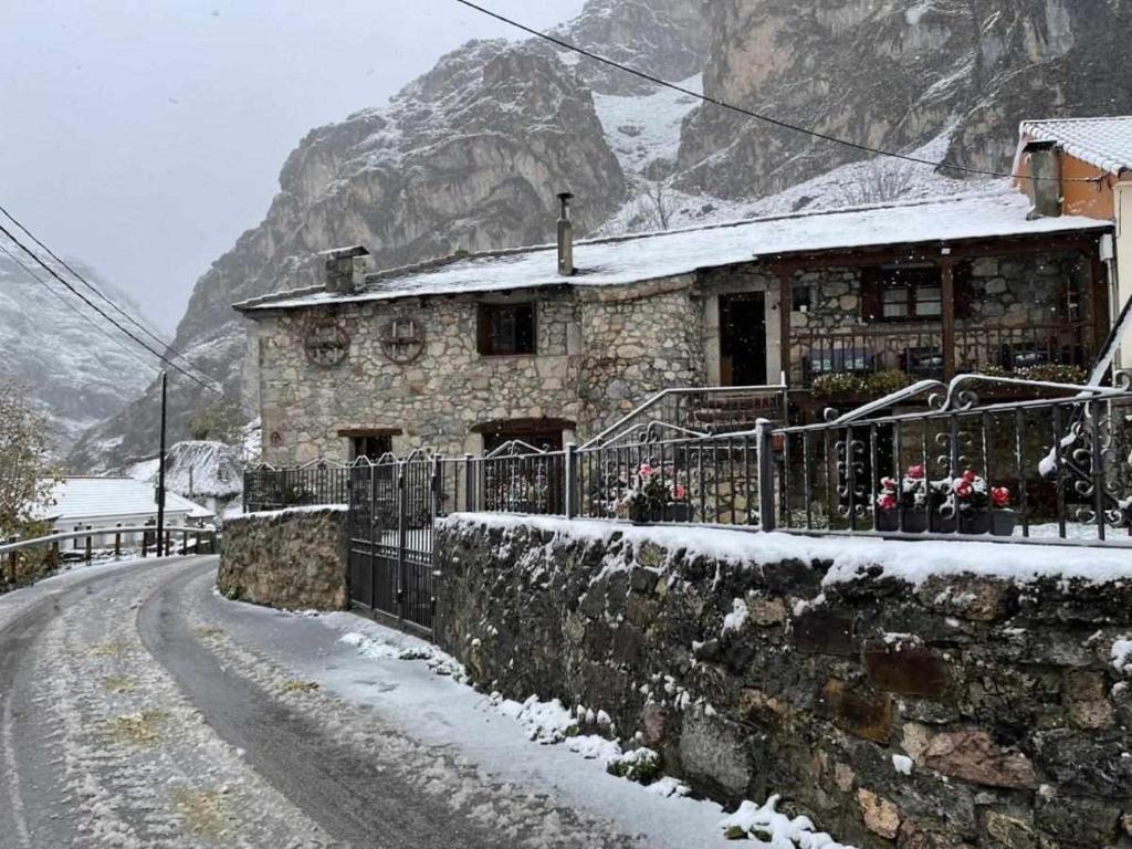 apartamento rural en la laguna de somiedo nevado