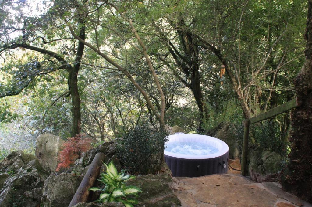 jacuzzi exterior en el bosque