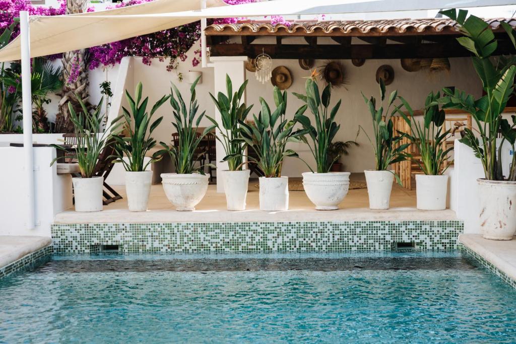 piscina hotel boutique en ibiza
