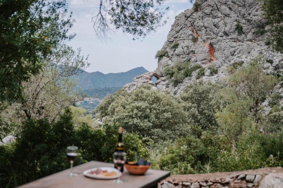 desayuno con vistas en el parque natural de la sierra de grazalema