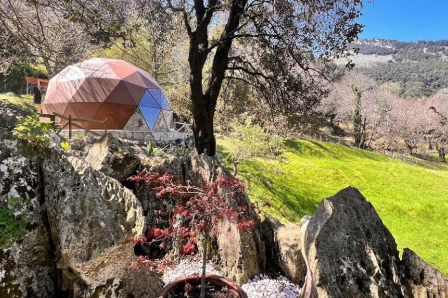 domo geodésico en cantabria en el bosque