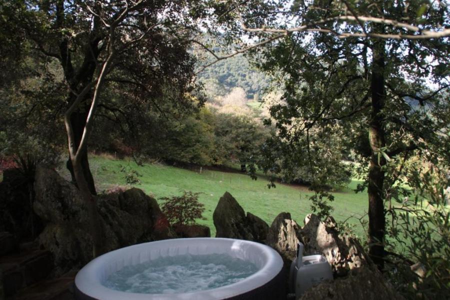 jacuxxi exterior en el bosque