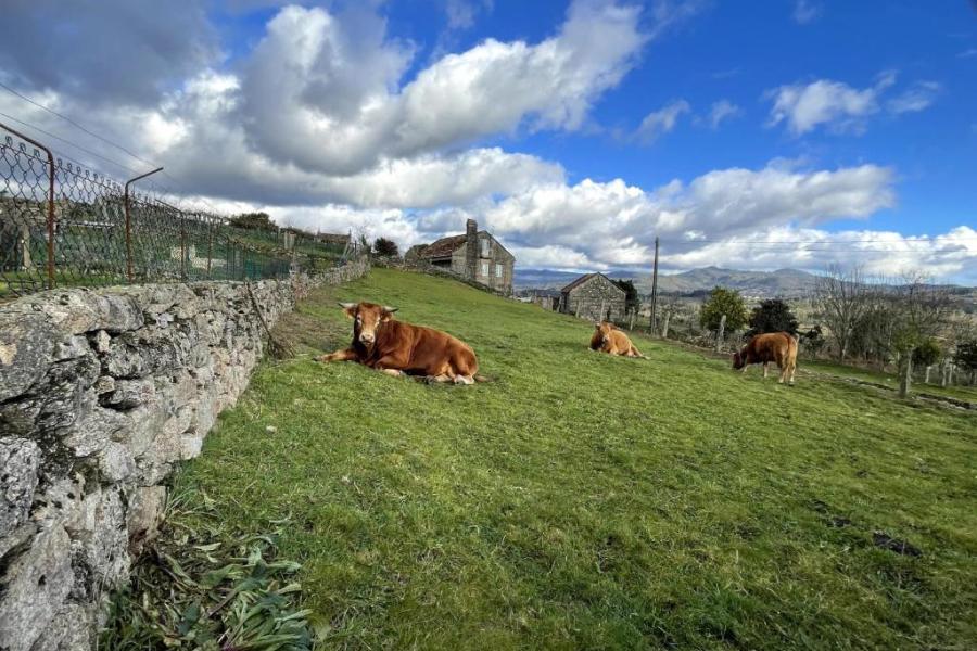 casa rural galicia